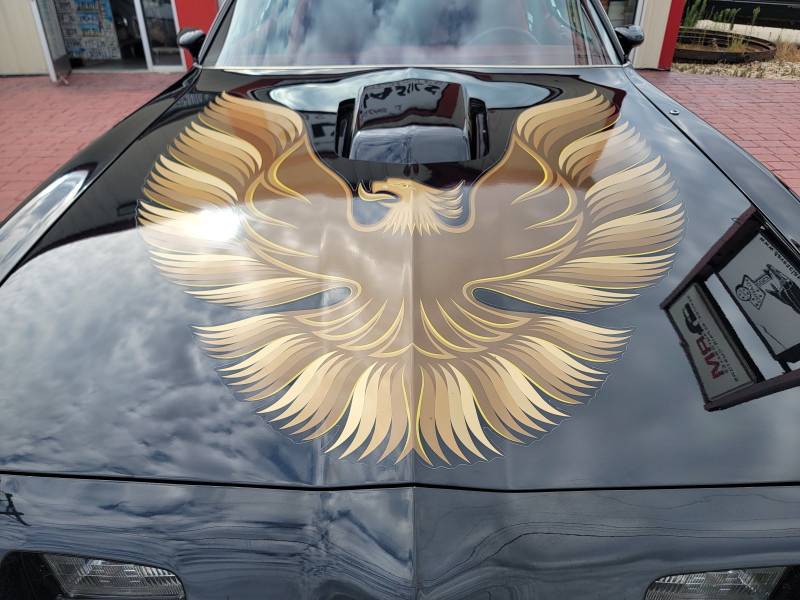 1979 Pontiac Trans Am