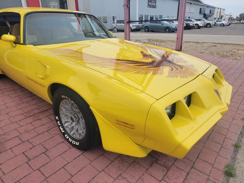 1981 Pontiac Trans Am Turbo